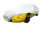 Car-Cover Satin White for TVR Tuscan