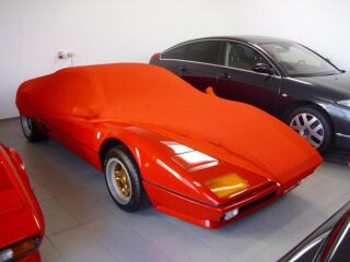 Vollgarage Mikrokontur® Rot mit Spiegeltaschen für Ferrari BB512